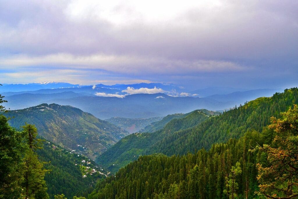 A scenic view of Ayub National Park, perhaps showing visitors enjoying the greenery, lake, and relaxing atmosphere. This gives potential visitors an idea of what to do after the matches