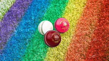 Diversity and Inclusion in Cricket