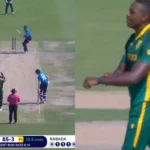 rabada root